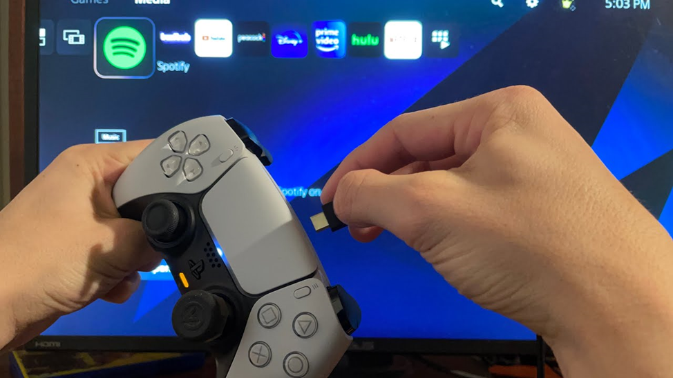 PS5 Controller USB Connection